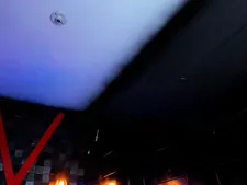 VioletFaish 10