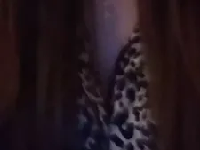 Ayla 65