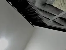 ChloeMarie 8