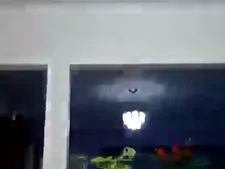 Janasouza123 1